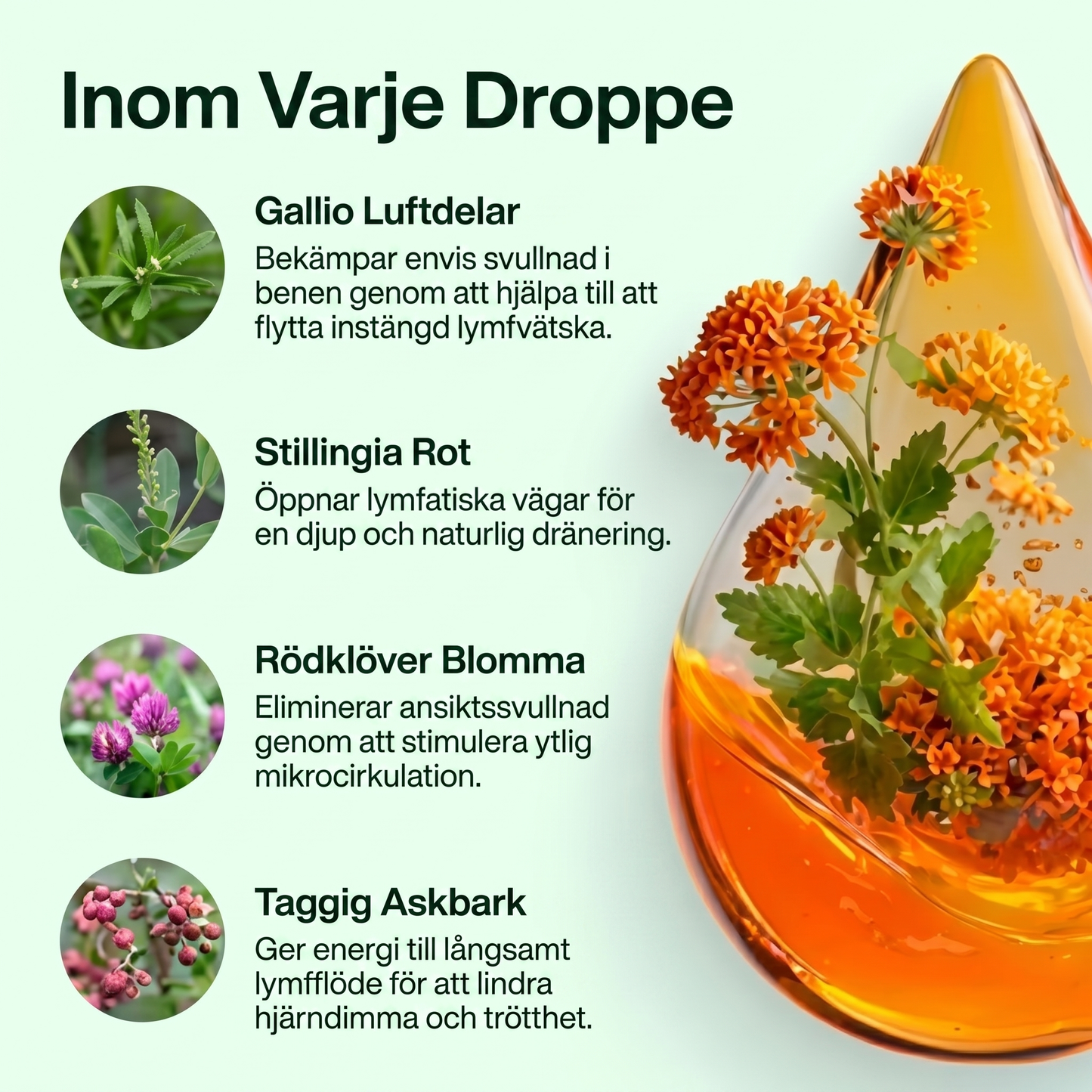 Drena+ Lymfatiskt Flytande Tillskott
