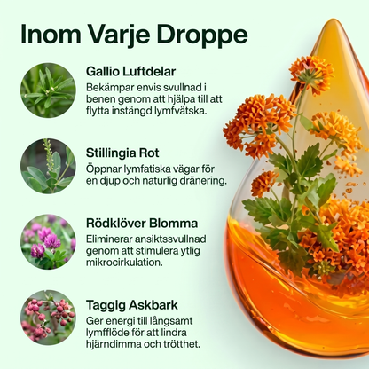 Drena+ Lymfatiskt Flytande Tillskott